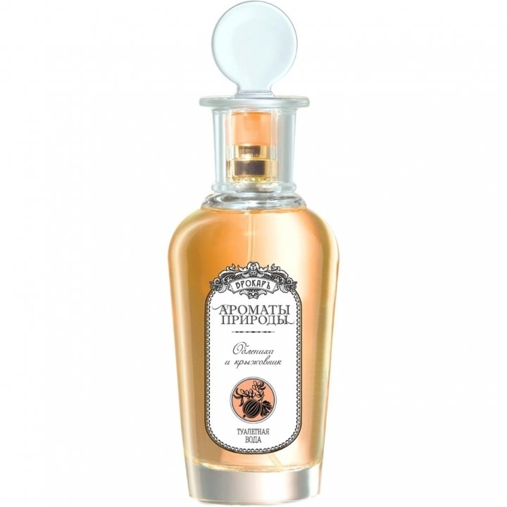 Aromaty prirody - Oblepikha i kryzhovnik